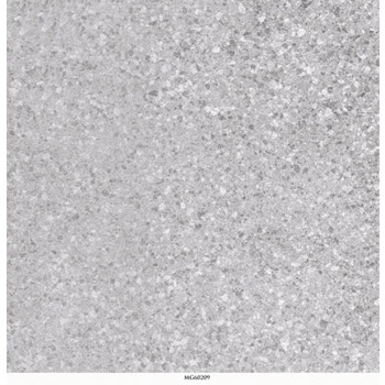 Gạch Granite lát sàn 60×60 – MG60209